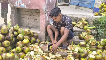 প্রচণ্ড গরমে আশুলিয়ায় স্বস্তি তালের শাঁসে