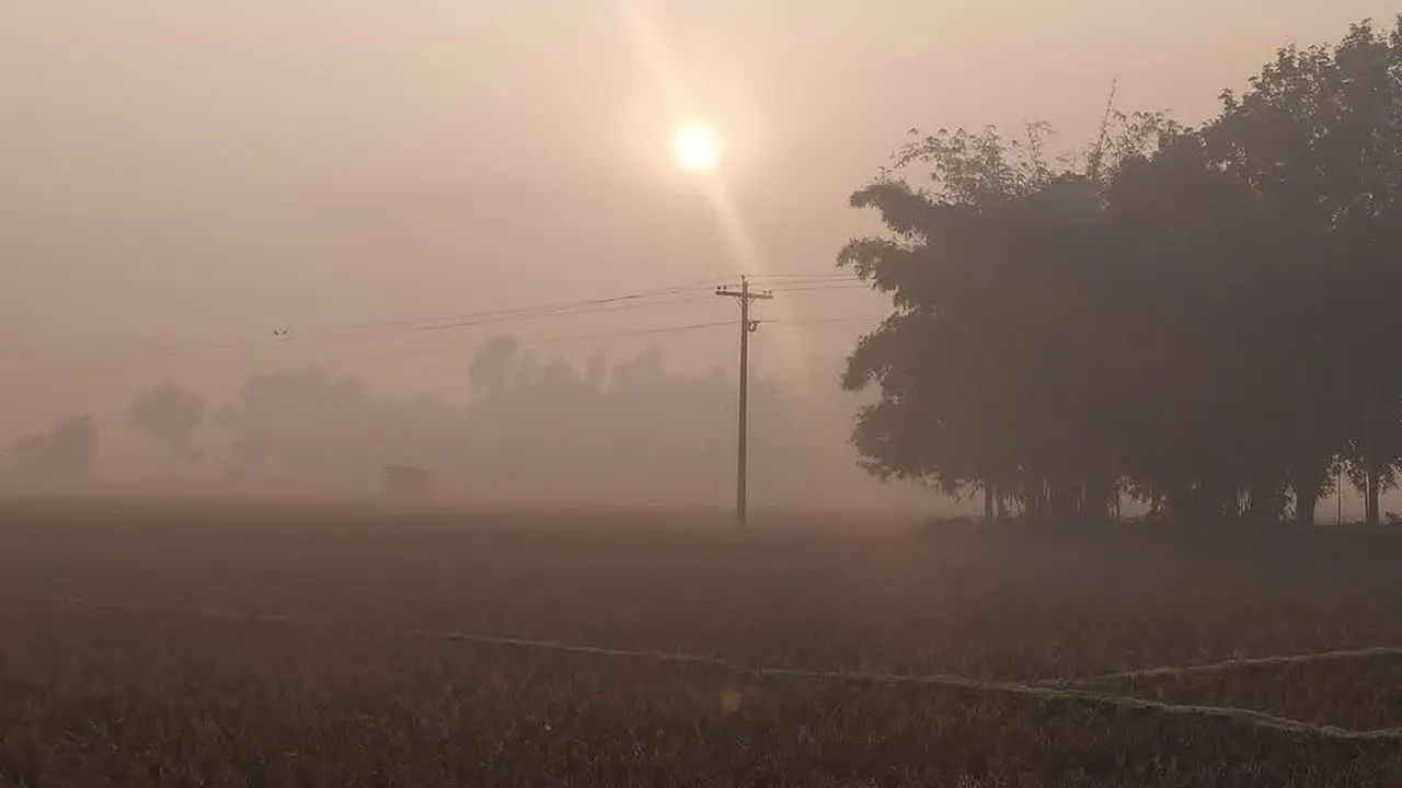পঞ্চগড়ে তাপমাত্রা ১৩.৩ ডিগ্রি