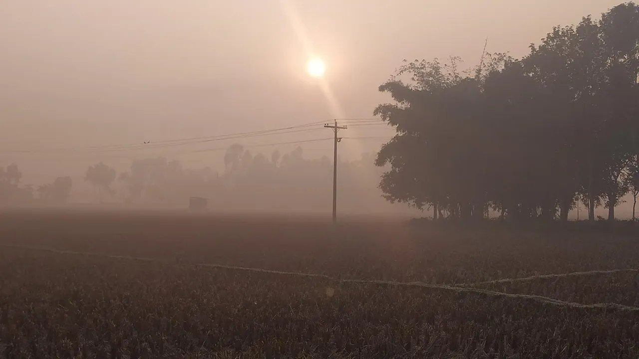 পঞ্চগড়ে প্রচণ্ড ঠান্ডায় কাবু জন-জীবন