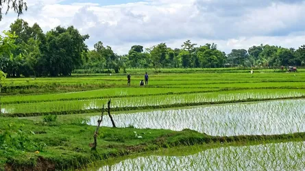 বিএসএফের কাঁটাতারের বেড়া নির্মাণের চেষ্টা, বিজিবির বাধা