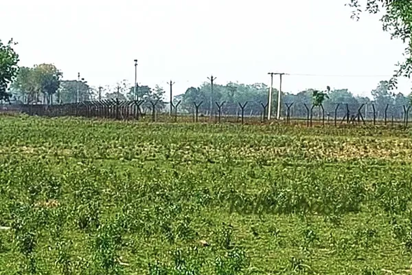 এবার লালমনিরহাট থেকে মামা-ভাগ্নেকে ধরে নিয়ে গেল বিএসএফ