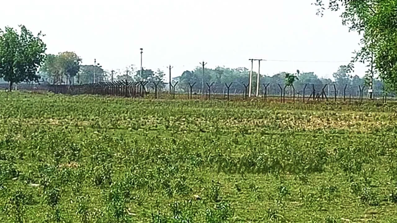 এবার লালমনিরহাট থেকে মামা-ভাগ্নেকে ধরে নিয়ে গেল বিএসএফ