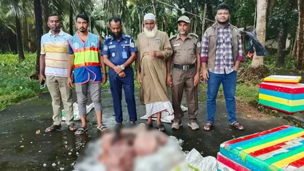বলেশ্বর নদীর পাড় থেকে হরিণের মাথাসহ ৪০ কেজি গোশত জব্দ