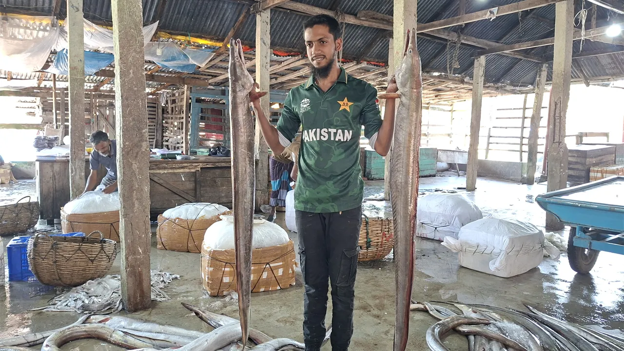 পাথরঘাটায় জেলের বড়শিতে বিপন্ন প্রজাতির কাল বাইন, সোয়া ২ লাখে বিক্রি