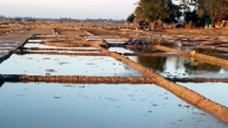 বৈরী আবহাওয়ায় থমকে গেছে লবণ উৎপাদন