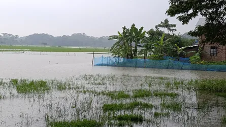 টানা বৃষ্টিতে পটুয়াখালীর নিম্নাঞ্চল প্লাবিত