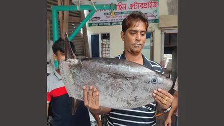 পটুয়াখালীতে জেলেদের জালে উঠল উড়োজাহাজ সদৃশ মাছ