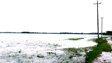 টানা বর্ষণে জনজীবন বিপর্যস্ত, দুশ্চিন্তায় পটুয়াখালীর চাষীরা