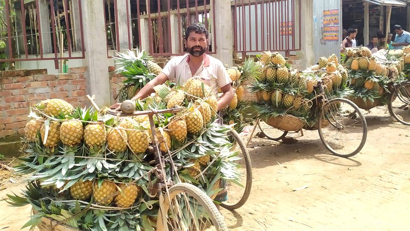 বাজারে বিক্রির অপেক্ষায়
