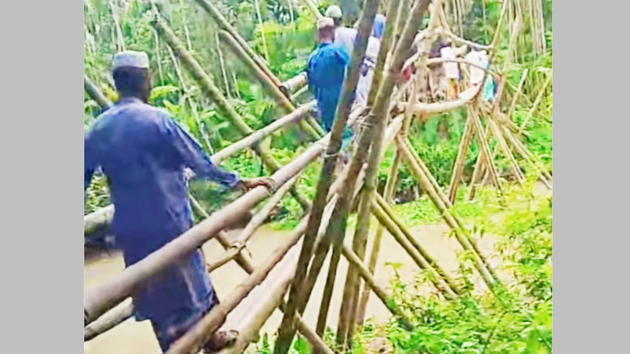কাউখালীর জোলাগাতি খালে ঝুঁকিপূর্ণ বাঁশের সাঁকো, শতাধিক মানুষের দুর্ভোগ
