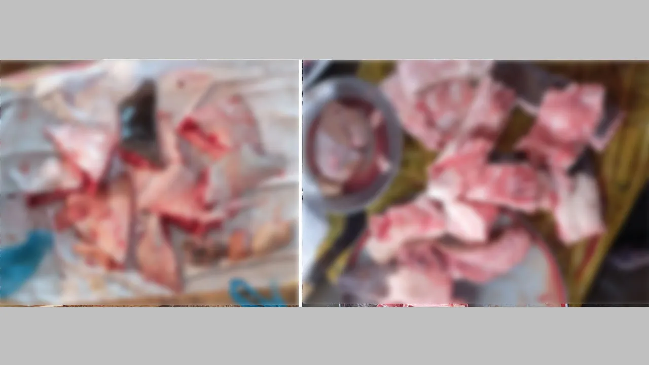 কাউখালীতে নিষিদ্ধ হাঙ্গর মাছ শাপলা পাতা নামে বিক্রি