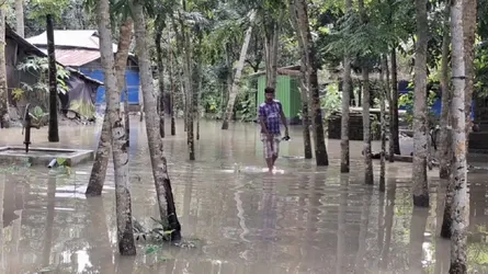 নদ-নদীর পানি বৃদ্ধি, উপকূলীয় জেলা পিরোজপুরের জনজীবন বিপর্যস্ত