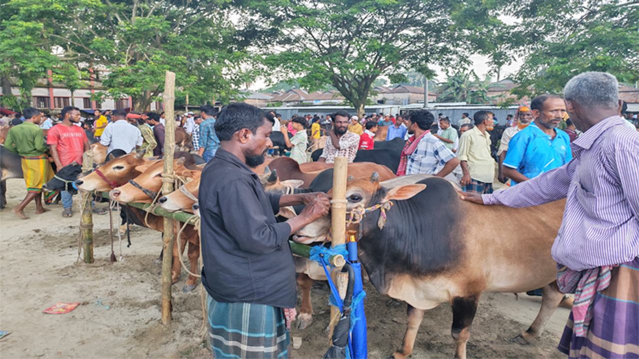 Police-camp-to-beef-up-security-at-Eid-animal-market-in-Dhaka
