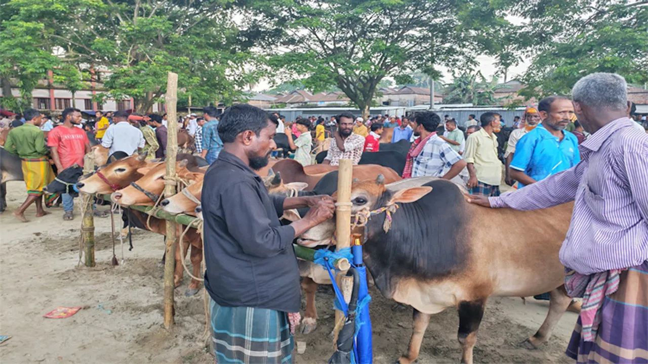 ঢাকায় ঈদের পশুর হাটে নিরাপত্তা জোরদারে পুলিশ ক্যাম্প, সিসিটিভি নজরদারি