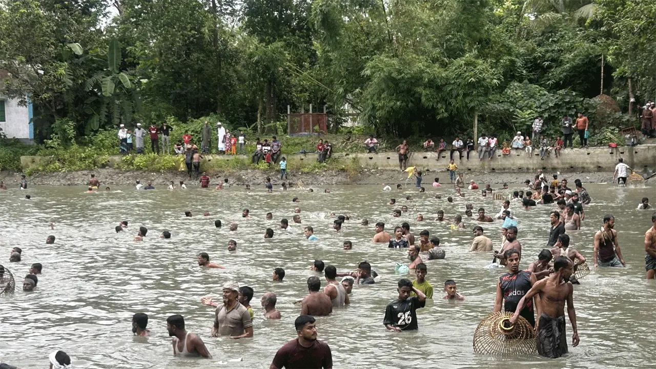 নাঙ্গলকোটে পলো দিয়ে মাছ ধরার উৎসব