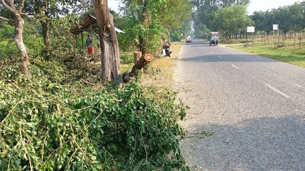 পোরশায় একরাতে একাধিক সড়কে ডাকাতি