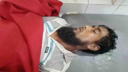 পোরশায় বিদ্যুৎস্পৃষ্টে এক ব্যক্তির মৃত্যু