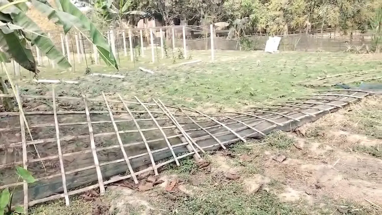 পোরশায় ভাতিজাদের বিরুদ্ধে বসতভিটা দখলের অভিযোগ