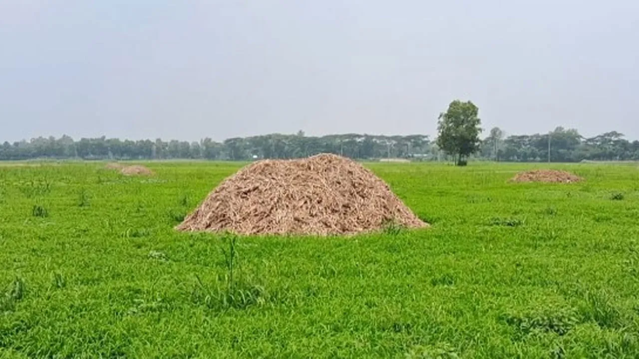 আলু চাষিদের আশার আলো ‘অহিমায়িত মডেল ঘর’