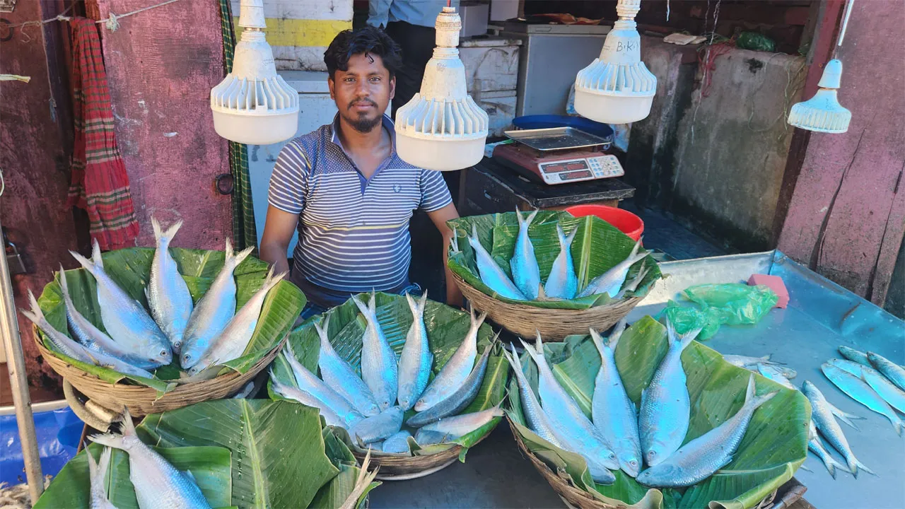 পহেলা বৈশাখ ঘিরে পটুয়াখালীতে ইলিশের বাজারে আগুন