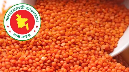৯ হাজার টন মসুর ডাল কিনবে সরকার, ব্যয় ৭২ কোটি টাকা