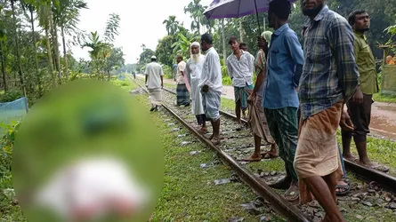 পূর্বধলায় ট্রেনে কাটা পড়ে শতবর্ষী বৃদ্ধের মৃত্যু