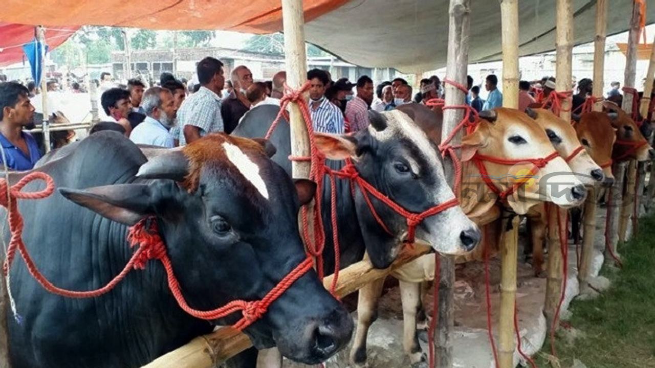 পশুর হাট