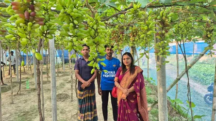 চাকরির পেছনে নয়, আঙুর বাগানেই স্বপ্ন দেখছেন রাজশাহীর রাহুল