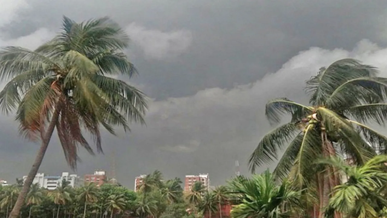 দুপুর পর্যন্ত বৃষ্টি, ১৪ অঞ্চলে ঝড়ের পূর্বাভাস
