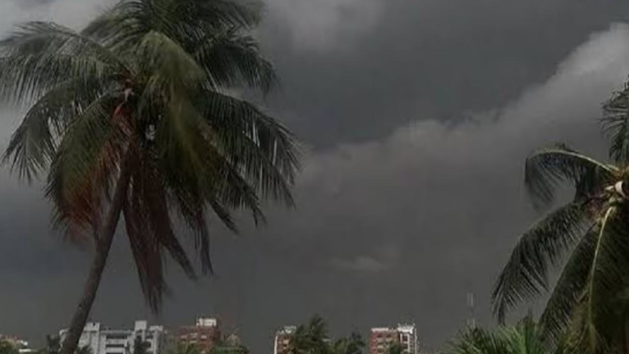 Rain
