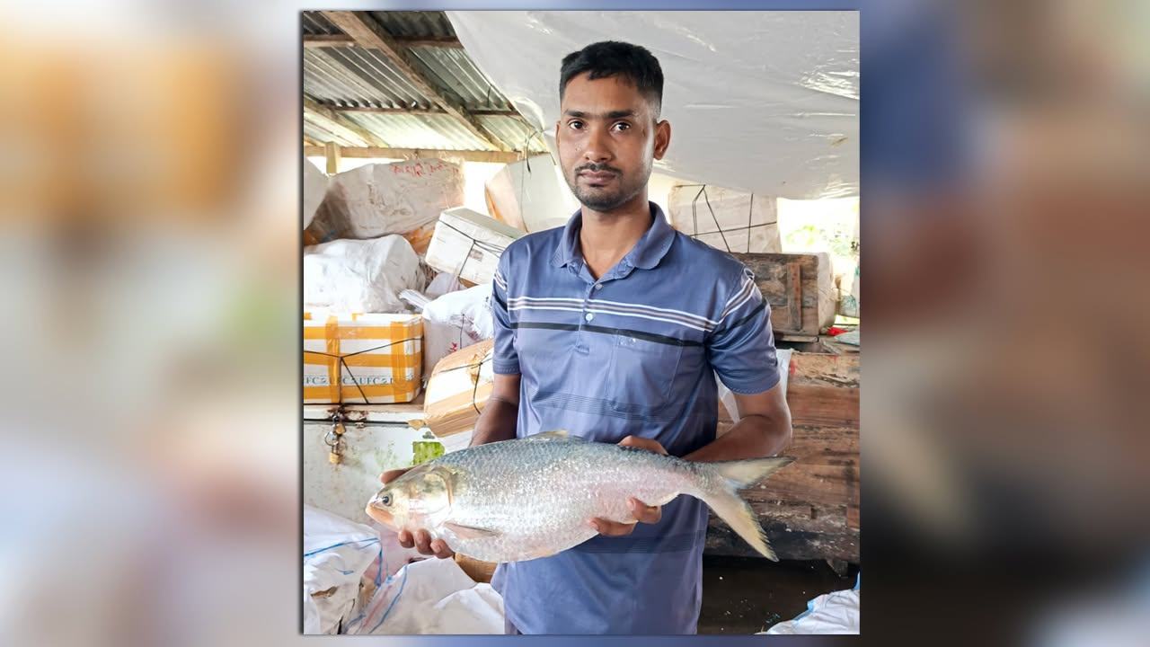 'Raja-Ilish'-(King-Hilsa)-sold-for-Tk-16,000-in-Patharghata.