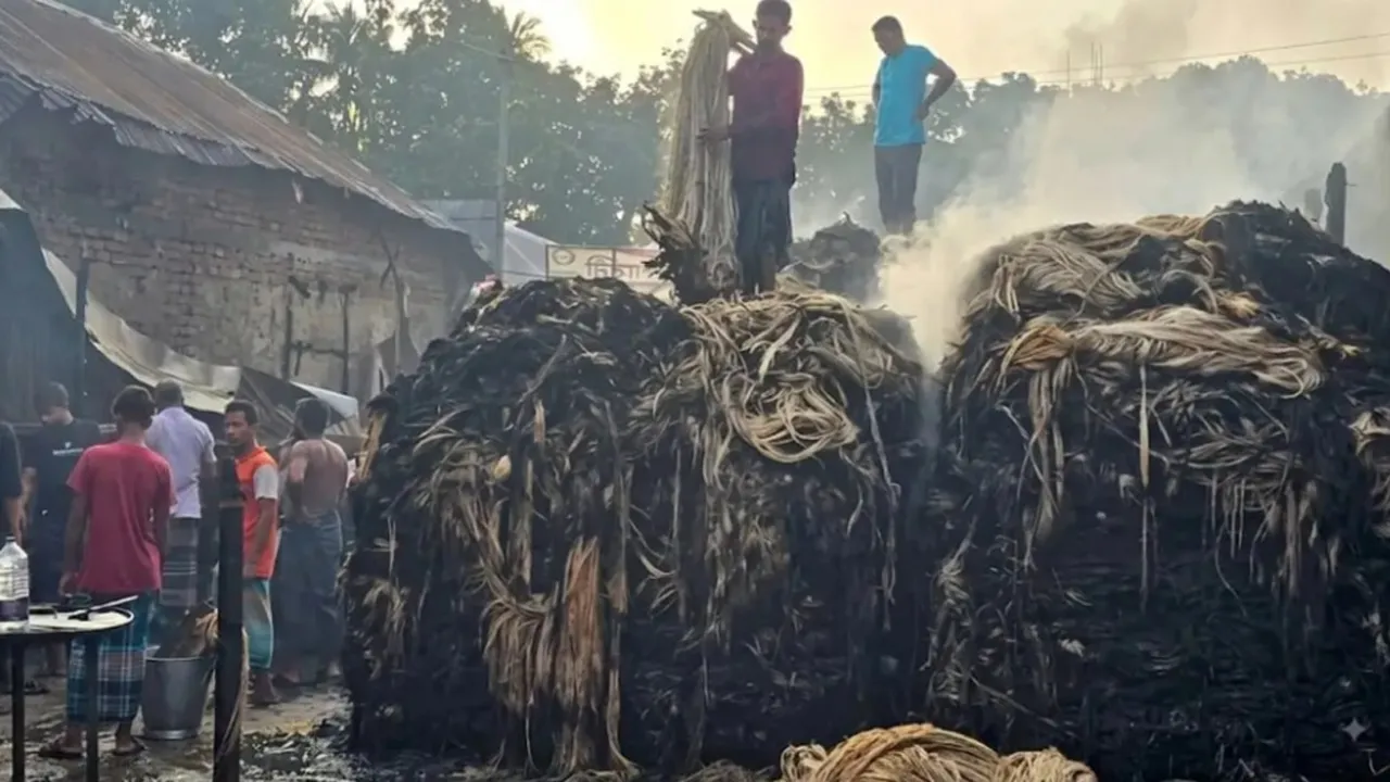 রাজবাড়ীতে আগুনে পাটের গুদামসহ ১০ দোকান ভস্মীভূত