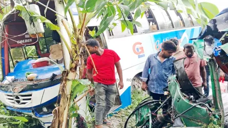 রাজবাড়ীতে বাস-সিএনজির মুখোমুখি সংঘর্ষে নিহত ১, আহত ৬