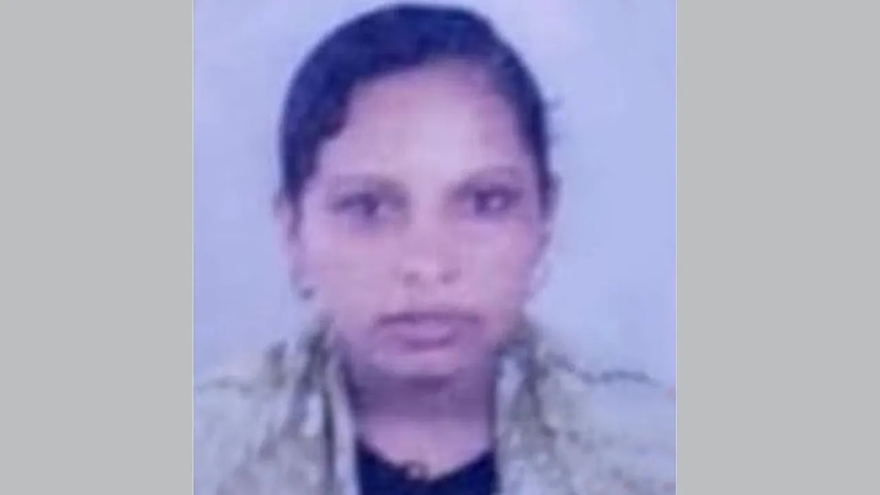 পাটুরিয়া-দৌলতদিয়া নৌরুটে ফেরি থেকে পদ্মায় ঝাঁপ, নারী নিখোঁজ