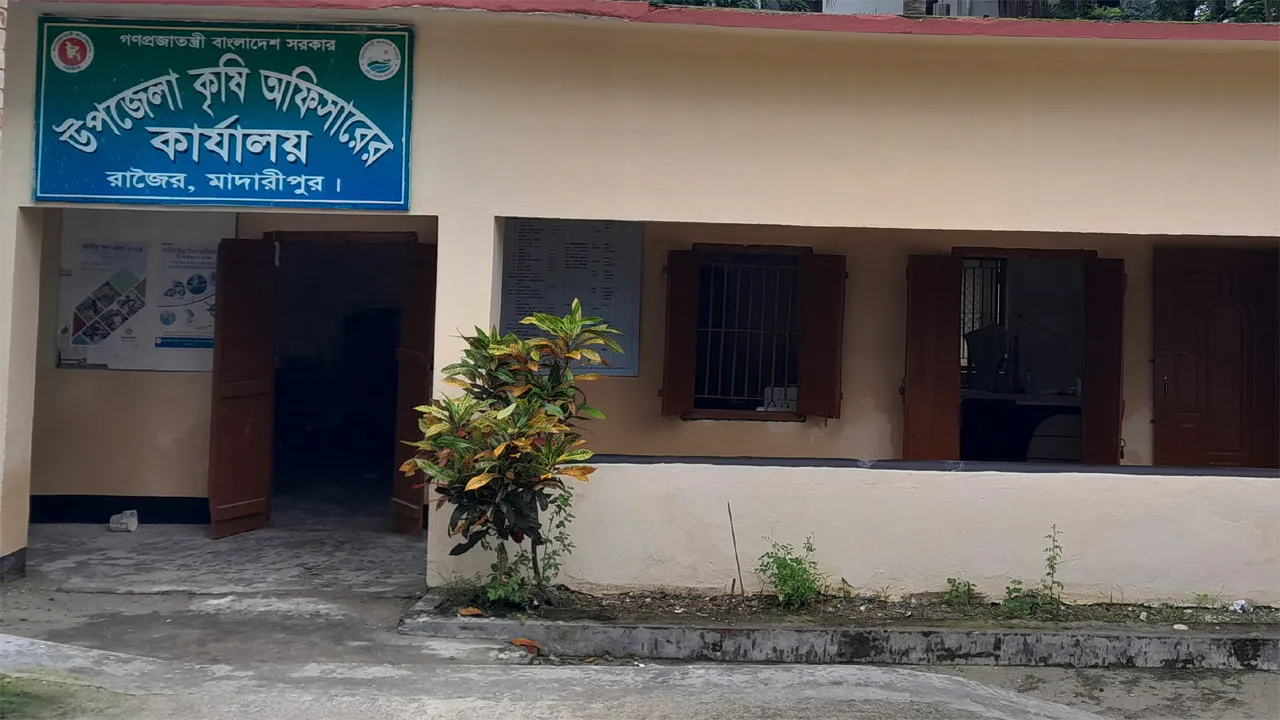 রাজৈরে তেল না পেয়ে কৃষকদের হাহাকার