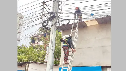 রাজশাহীতে পাখির বাচ্চা নামাতে গিয়ে বিদ্যুৎস্পৃষ্টে কিশোরের মৃত্যু