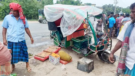 পুঠিয়ায় ট্রাক-অটোরিকশা মুখোমুখি সংঘর্ষে আপন ২ ভাই নিহত