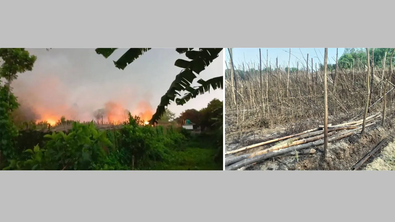 রাজশাহীতে বজ্রপাত ও অগ্নিকাণ্ডে ছাই ২টি পানের বরজ
