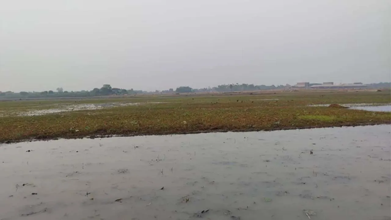 প্রথমবারের মতো ‘জলাভূমি নির্ভর প্রাণী অভয়ারণ্য’ ঘোষণা করল সরকার