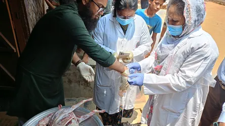 রামগড়ে ভ্যাকসিন প্রয়োগে অর্ধশতাধিক পশুর মৃত্যু, তদন্তে বিভাগীয় দল