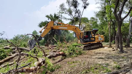 রাঙ্গাবালীতে বেড়িবাঁধ সংস্কারের নামে উজাড় হচ্ছে বনায়ন