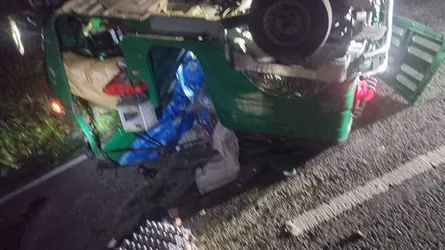 রাঙামাটিতে বন্যহাতির আক্রমণে অটোরিকশাযাত্রী ২ নারী নিহত