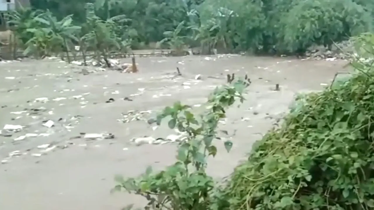 প্লাস্টিক বর্জ্যের দূষণে বিপর্যস্ত কাপ্তাই হ্রদ