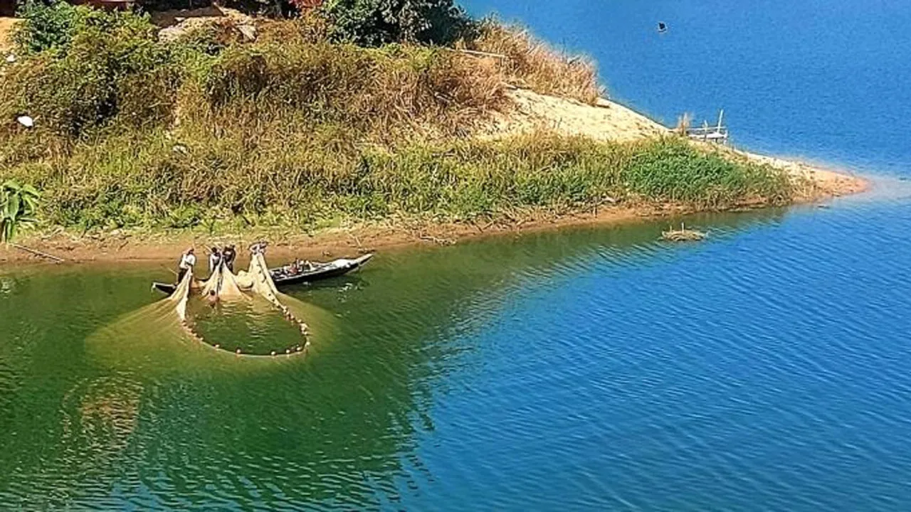 কাপ্তাই হ্রদে মৎস্য উন্নয়নে নতুন দিগন্ত খুলছে বিএফডিসি