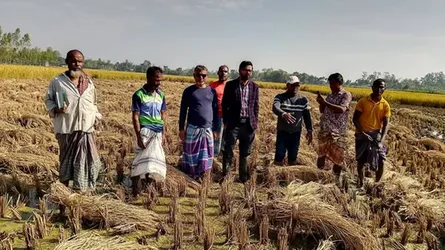রংপুরে প্লাবিত এলাকা পরিদর্শন করলেন কৃষি কর্মকর্তা