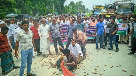 রংপুরে হিমাগারের ভাড়া বৃদ্ধির প্রতিবাদে মহাসড়কে আলু ঢেলে বিক্ষোভ