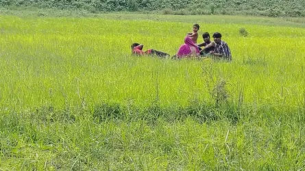 রৌমারীতে চতুর্থ দফায় পুশইন, সীমান্তে বিজিবির কড়া নজরদারি
