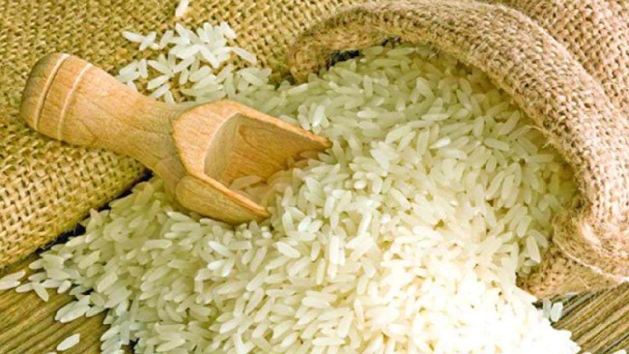 Rice