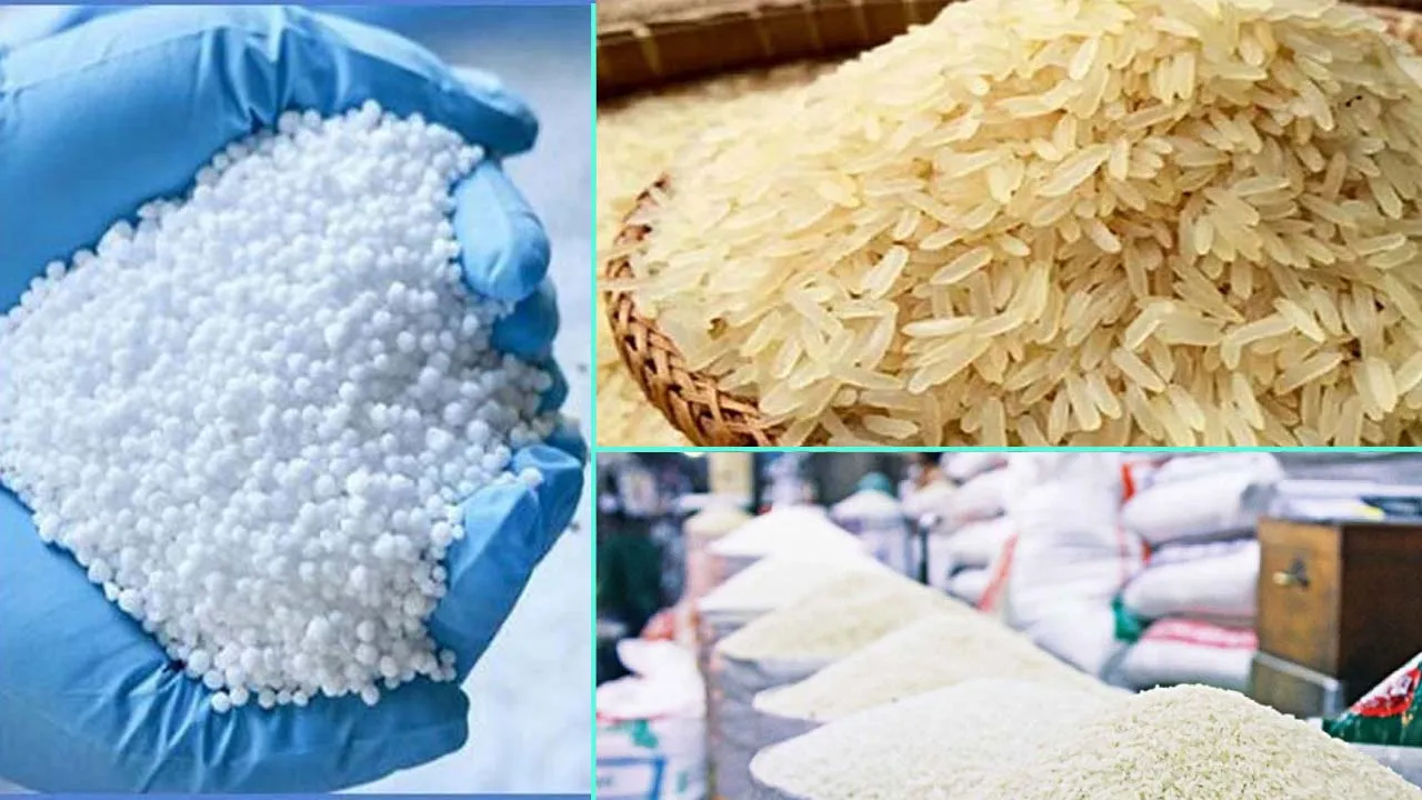 ৭০ হাজার টন সার ও ৫০ হাজার টন নন-বাসমতি চাল কিনবে সরকার