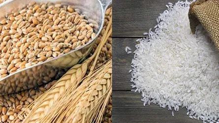 ২ লাখ টন গম ও ৫০ হাজার টন বাসমতি চাল কিনবে সরকার